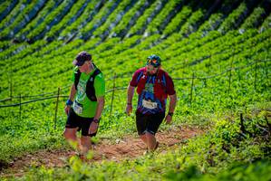 BIB: 
                            <button type="button" onclick="openModal(19163076)" class="btn btn-primary btn-sm float-right btn-popup" data-toggle="modal" data-target=".modal-high-quality">
                        <i class="fas fa-shopping-cart"></i> Add to Cart
                    </button>
                                            <button type="button" onclick="isThisMe(19163076, true)" class="btn btn-success btn-sm float-right btn-popup btn-isme hidden" data-toggle="tooltip" data-placement="bottom" title="นี่คือรูปของคุณใช่ไหม คลิกที่นี่เพื่อเอาเข้าอัลบั้ม">
                        <i class="fas fa-plus"></i> Add to album
                    </button>
                    <button type="button" onclick="isThisMe(19163076, false)" class="btn btn-warning btn-sm float-right btn-popup btn-isnotme hidden">
                        <i class="fas fa-ban"></i> Remove from album
                    </button>